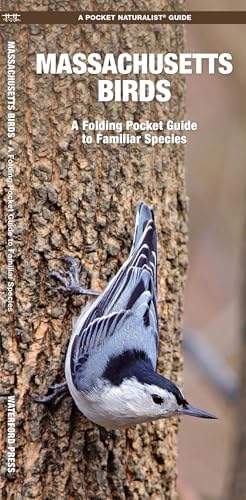Lansdowne's Birds of the Forest　鳥の図鑑　洋書 Birds of the Forest: Lansdowne, James Fenwick: 9780884860273